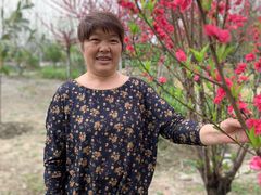 -洪湖家庭农场·团建·露营·会议