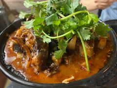 麻辣鲶鱼煲-川香煲(茅台路店)