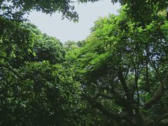 -鹤之洲湿地公园