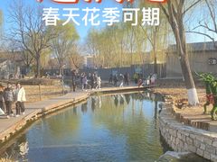 -春风习习