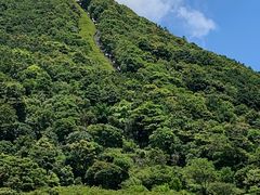 -梧桐山风景名胜区