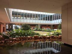 -香港大学