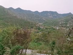 -幽岚山·童话森林