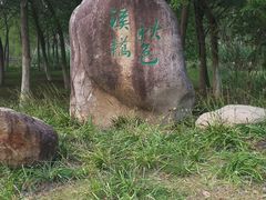 -南湖湿地公园