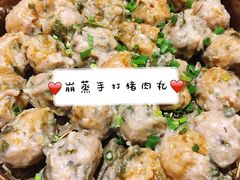 崩蒸手打猪肉丸-园林美食城·本土农家菜(杨和镇店)