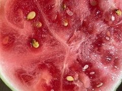 -极拉图·现制冰淇淋(大卫城店)