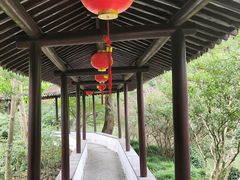 -上海醉白池公园