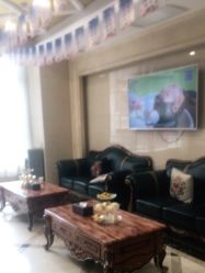 -碧莲盛·不剃发植发