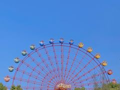 -南湖梦幻岛