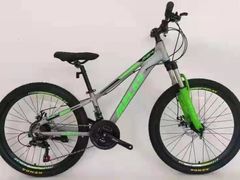 -道路口单车爱瓦士dahon大行