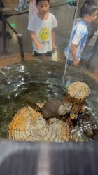 -Zoolung Zoolung动物主题公园(海信广场店)