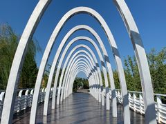 -大兴滨河森林公园