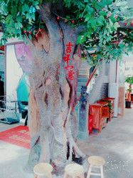 -川中故事·成都老火锅(东书房店)