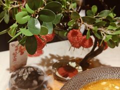 -唐猫庭院·千年陕菜(大唐不夜城店)