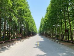 -日照海滨国家森林公园