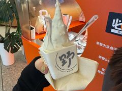 -野人先生现做冰淇淋(北京王府井东方新天地店)
