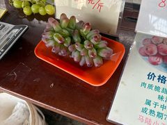 -马陆小张葡萄园农家乐