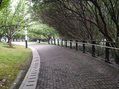 -苏州河梦清园环保主题公园