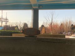 -南宫温泉水世界