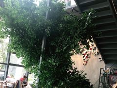 -了不起的考拉咖啡店(高新店)