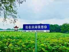 -洪湖生态旅游区