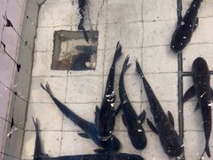 -春盛渔府(江宁开发区店)