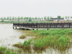 -南大港湿地风景区