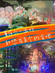 -恐龙探索乐园(磁器口店)