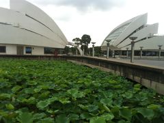 -上海鲜花港