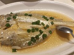 -金美华轩(东方路齐鲁店)