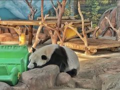 -南宁市动物园