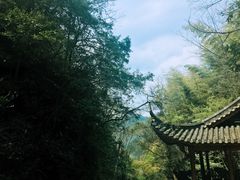 -藏龙百瀑风景区