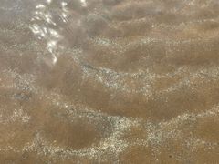 -日照海滨国家森林公园