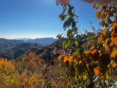 -大岭沟猕猴桃谷风景区