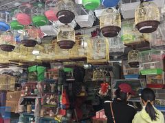 -溪岸路花鸟市场