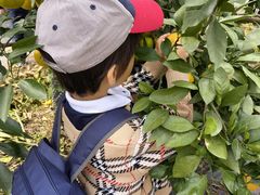 -前小桔亲子创意农场·草莓采摘·露营烧烤