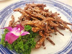 -轩记海鲜餐厅·四十五年老字号·经典粤菜(西区彩虹店)