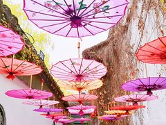 -鱼食饭稻·苏浙土菜17年老馆子(平江路店)