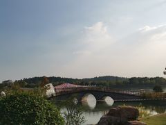 -大塘金香草谷
