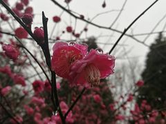 -白塘生态植物园