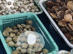 -王四营海鲜市场