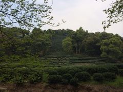 -西湖风景区十里琅珰-五云山