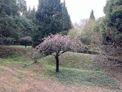 -秦始皇帝陵博物院-丽山园