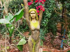 -呀路古热带植物园