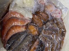 -宠物星动物医院·眼科·异宠·猫科(江南大道总院)