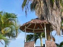 -巨鹏飞梦幻海岸