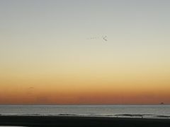 -碧海浴场渔港公寓