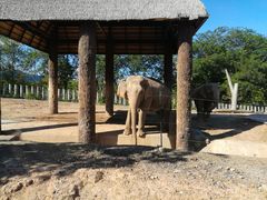 -清迈夜间动物园