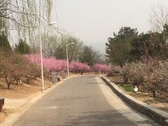 iphone_upload_pic-北京鹫峰国家森林公园