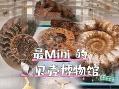 -青岛贝壳博物馆